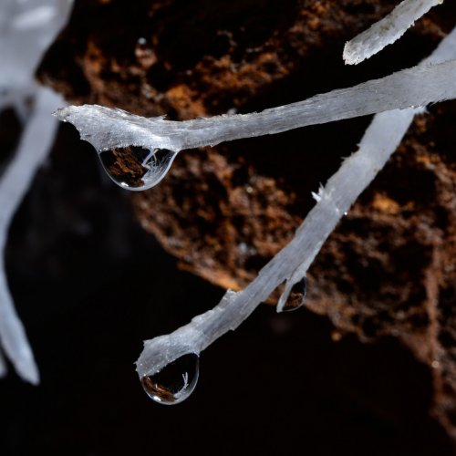 Breezeaway Cave (USA - Colorado) - Gouttes à l'extrémité de concrétions d'aragonite(SP-18-1217)