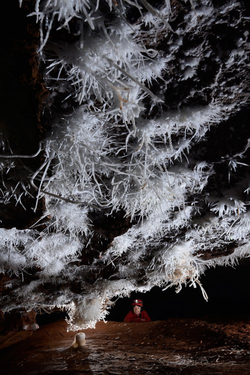 Breezeaway Cave (USA - Colorado) - Salle basse avec plafond couvert de concrétions d'aragonite blanches (spéléo en fond)(SP-18-1234)