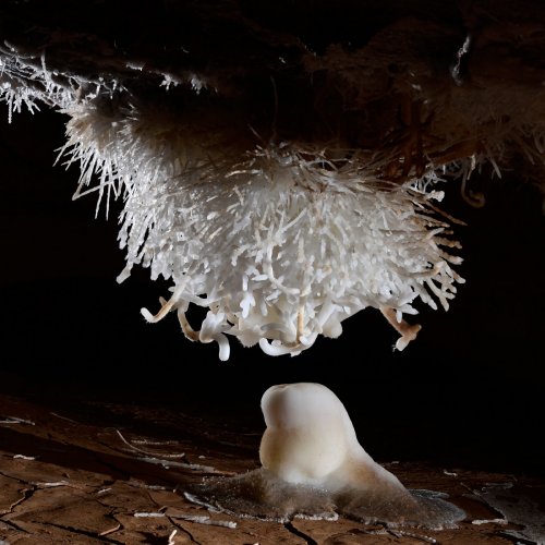 Breezeaway Cave (USA - Colorado) - Gros bouquet échevelé d'aragonite au plafond ("Tesla Coil") surmontant une stalagmite (SP-18-1239)