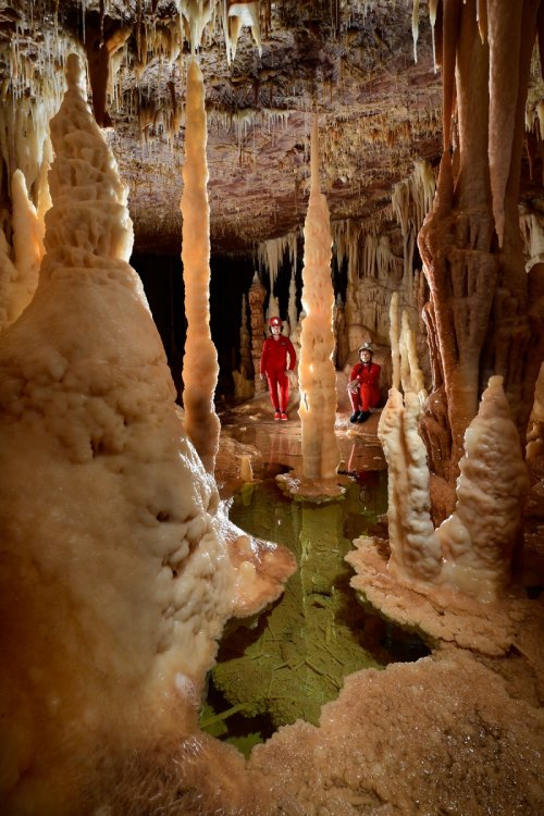 Grotte du Cirque (Lot) - Petite salle avec gour au pied de grandes colonnes (deux spéléos en arrière plan)(SP-18-1269)