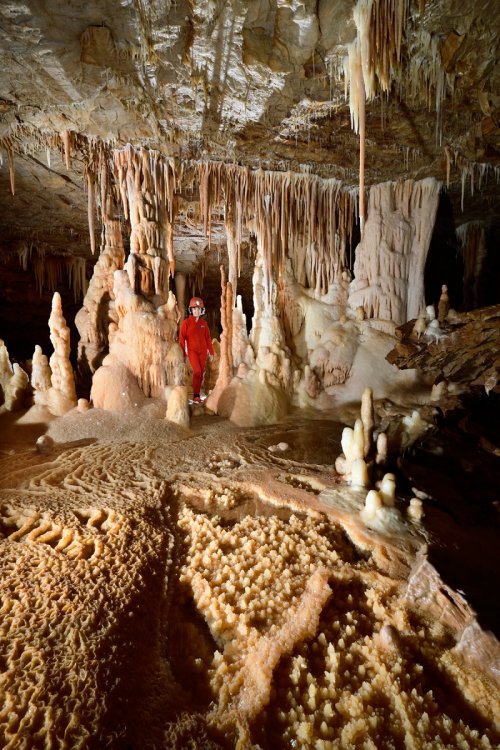 Grotte du Cirque (Lot) -  Salle concrétionnée avec cristaux de calcite dans un gour asséché en premier plan(SP-18-1272)