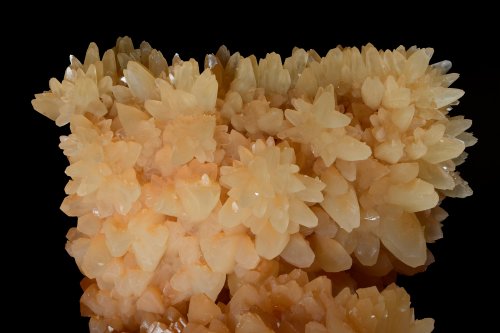 Grotte du Cirque (Lot) - Bouquet de cristaux de calcite en dents de cochon(SP-18-1288)