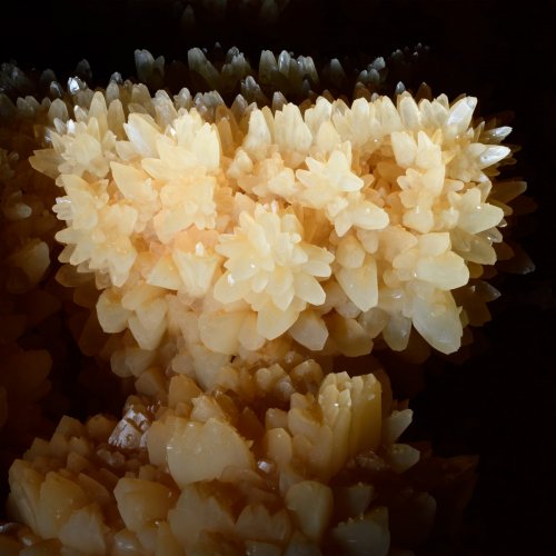 Grotte du Cirque (Lot) - Bouquet de cristaux de calcite en dents de cochon(SP-18-1289)