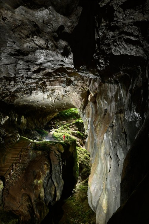 Grotte de Lombrives (Ariège) - Entrée principale vue de l'intérieur(SP-18-1339)