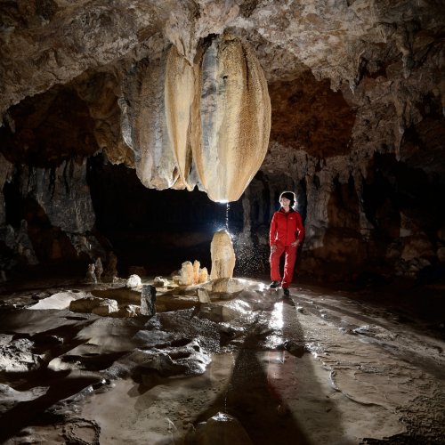 Grotte de Lombrives (Ariège) - "La Mamelle" : stalactite massive avec son filet d'eau éclatant sur la stalagmite dessous (vue latérale)(SP-18-1346)