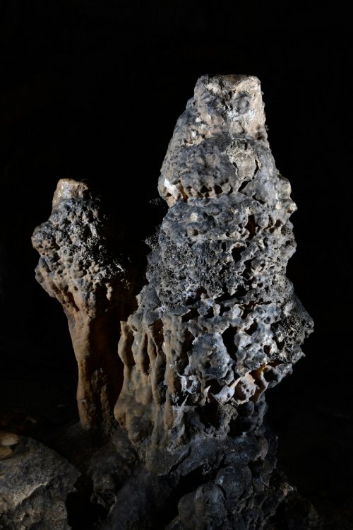Grotte de Lombrives (Ariège) - "Le hiboux" (stalagmite massive)(SP-18-1368)