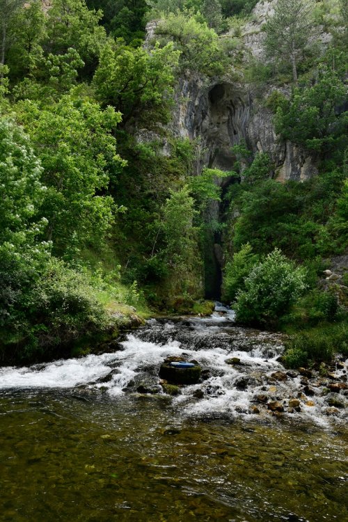Grotte de Castelbouc - Débouché dans le Tarn de la rivière sortant de la grotte (SP-18-1470)