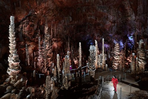 Aven Armand (Causse Méjean, Lozère)(SP-18-1476)