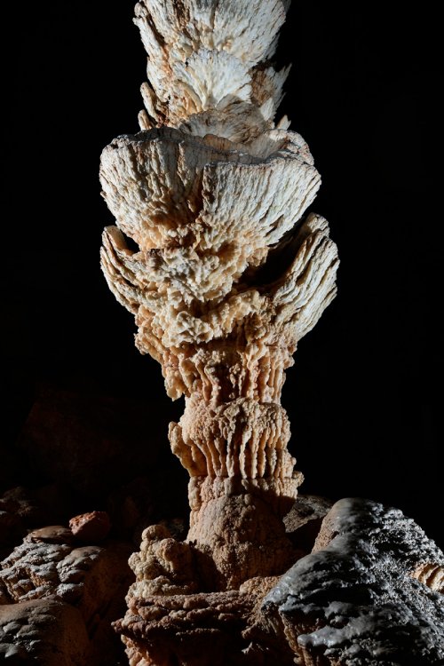 Aven Armand (Causse Méjean, Lozère)(SP-18-1491)