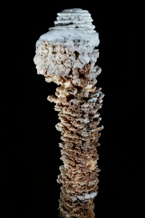 Aven Armand (Causse Méjean, Lozère)(SP-18-1497)