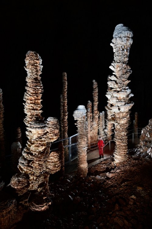 Aven Armand (Causse Méjean, Lozère)(SP-18-1501)