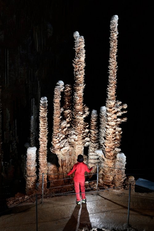 Aven Armand (Causse Méjean, Lozère)(SP-18-1503)