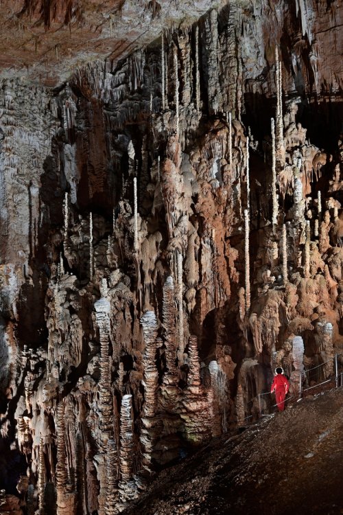 Aven Armand (Causse Méjean, Lozère)(SP-18-1509)