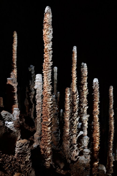 Aven Armand (Causse Méjean, Lozère)(SP-18-1510)