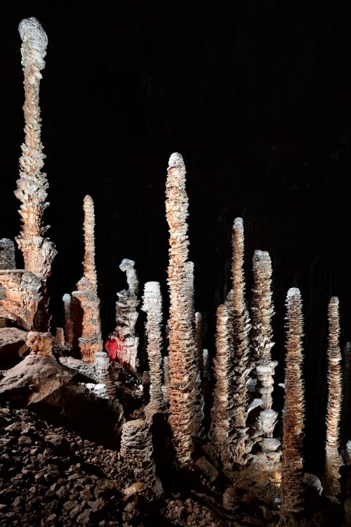 Aven Armand (Causse Méjean, Lozère)(SP-18-1515)