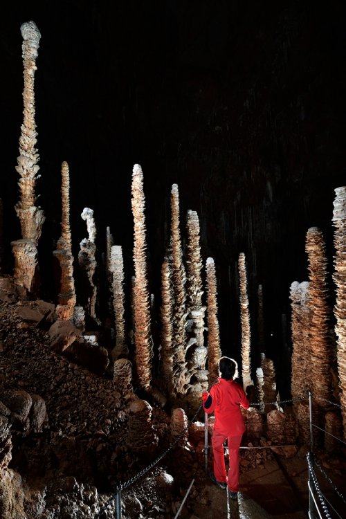 Aven Armand (Causse Méjean, Lozère)(SP-18-1518)