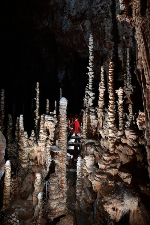 Aven Armand (Causse Méjean, Lozère)(SP-18-1523)