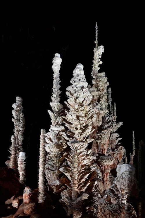 Aven Armand (Causse Méjean, Lozère)(SP-18-1526)