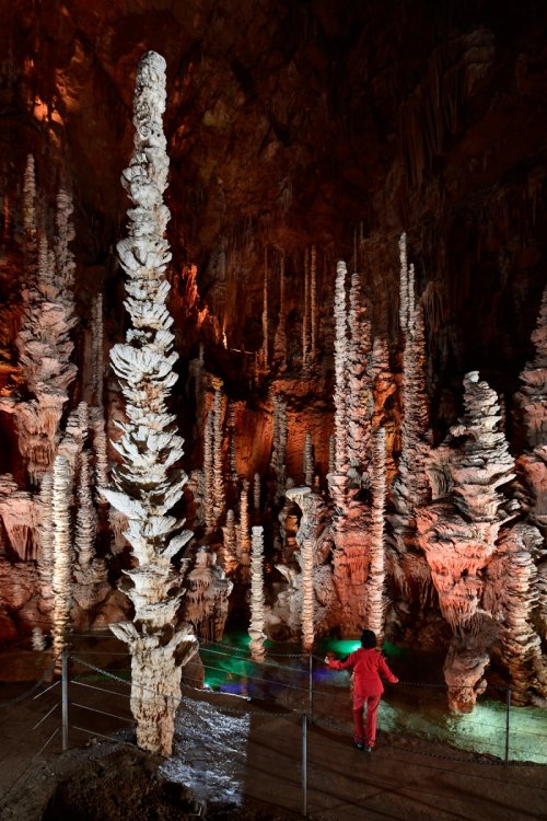 Aven Armand (Causse Méjean, Lozère)(SP-18-1531)