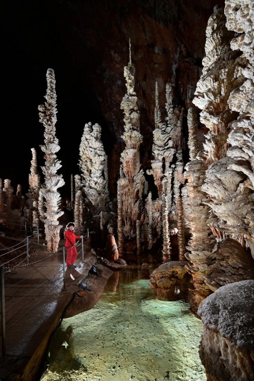 Aven Armand (Causse Méjean, Lozère)(SP-18-1534)