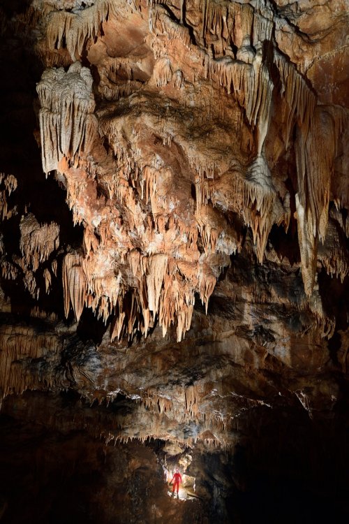 GasselTropfsteinhöhle (Autriche) - Salle concrétionnée marquant la fin de la visite touristique avec spéléo dans la continuation non aménagée(SP-18-1664)