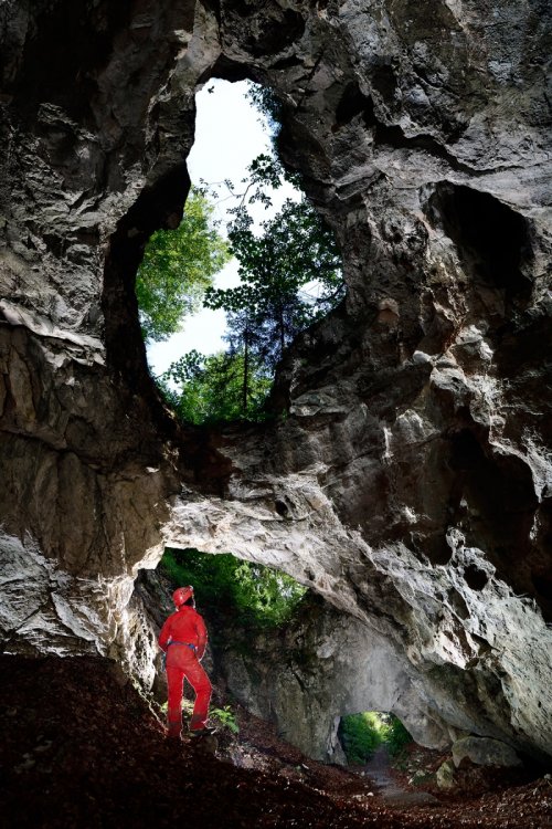 GasselTropfsteinhöhle (Autriche) - Entrée de la cavités avec trois orifices (SP-18-1669)