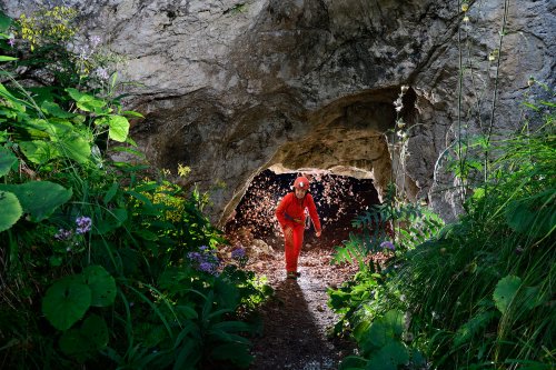 GasselTropfsteinhöhle (Autriche) - Spéléo dans l'entrée sous une pluie de feuillesmortes(SP-18-1677)