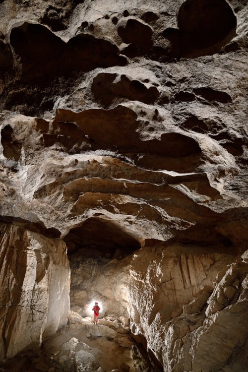 Hirlatzhöhle (Autriche) - Spéléo dans une grande galerie avec le plafond corrodé(SP-18-1711)
