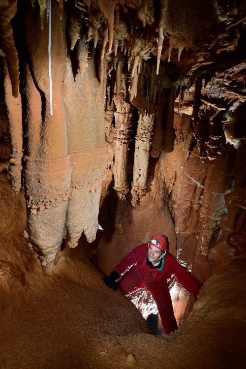 Réseau Bernard Magos (Barjac, Gard) - Ensemble de stalactites massives au dessus d'un petiot puits(SP-18-1719)