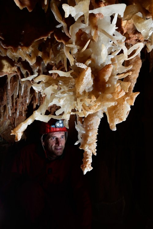 Réseau Bernard Magos (Barjac, Gard) - Ensemble de stalactites avec des cristallisations de calcite(SP-18-1724)