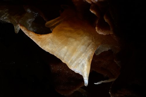 Réseau Bernard Magos (Barjac, Gard) - Petite draperie translucide(SP-18-1730.jpg)