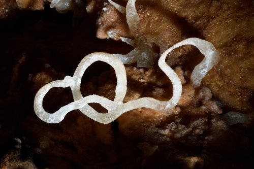 Réseau Bernard Magos (Barjac, Gard) - Excentrique de calcite translucide formant un anneau (SP-18-1733)