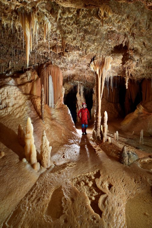 Réseau Bernard Magos (Barjac, Gard) - Progression dans une galerie concrétionnée avec des gours recouverts de cristaux de calcite au sol(SP-18-1773)