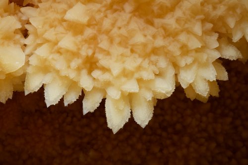 Réseau Bernard Magos (Barjac, Gard) - Cristaux de calcite en dent de cochon sur le bord d'un gour(SP-18-1782)