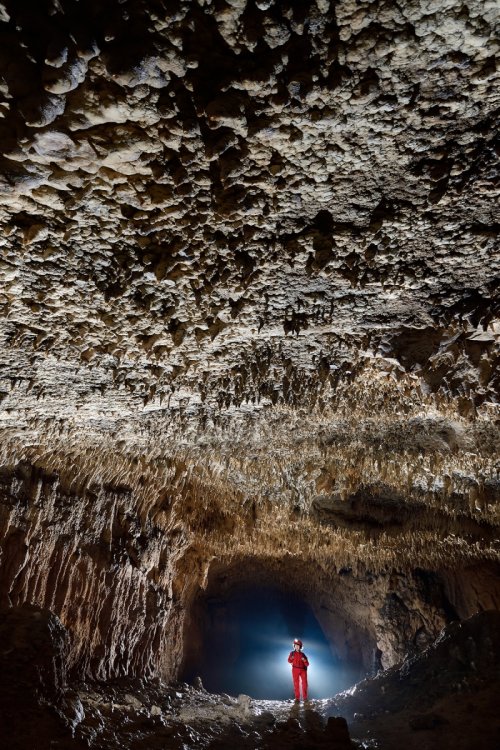 Pestera de la Pod - Grande galerie avec plafond concrétionné(SP-18-1809)