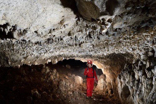 Pestera de la Pod - Plafond concrétionné avec des vermiculations (SP-18-1824)