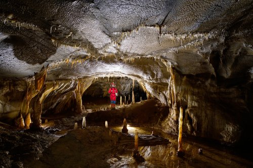 Pestera Bulba (réseau supérieur) - Spéléo dans galerie concrétionnée (SP-18-1851)