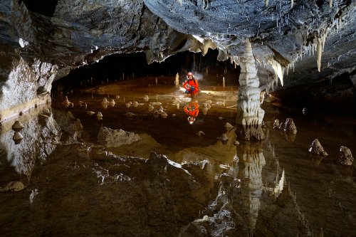 Pestera Bulba (réseau supérieur) - Galerie avec des gours remplis d'eau
(SP-18-1854)