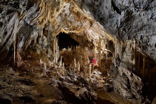 Pestera Topolnita (réseau supérieur) - Spéléo au milieu d'une grande galerie concrétionnée(SP-18-1895)