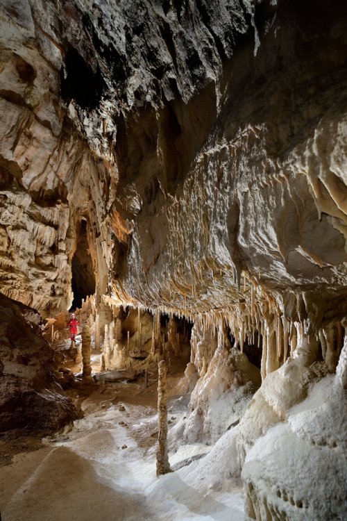 Pestera Topolnita (réseau supérieur) - Grande galerie blanche concrétionnée au sol couvert de calcite blanche(SP-18-1910)