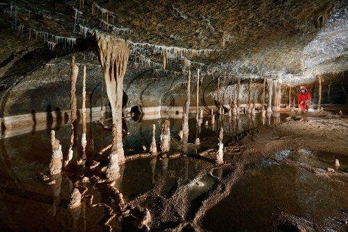 Pestera Epuran - Galerie concrétionnée avec des gours remplis d'eau (SP-18-1940)