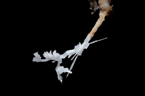 Maroboshi-no-syonyudo (Hiroshima, Japon) - Détail d'une petite excentriques d'aragonite (SP-19-0153)