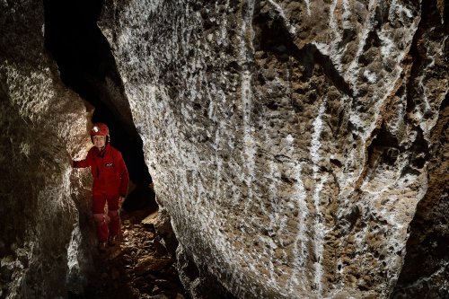 Maroboshi-no-syonyudo (Hiroshima, Japon) - Galerie avec paroi couverte de petits cristaux d'aragonite en bandes (SP-19-0159)