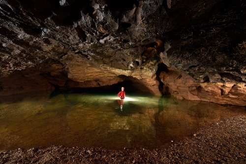 Akiyoshi-do (Akiyoshidai, Yamaguchi, Japon) - Siphon amont (spéléo debout dans l'eau)(SP-19-0170)