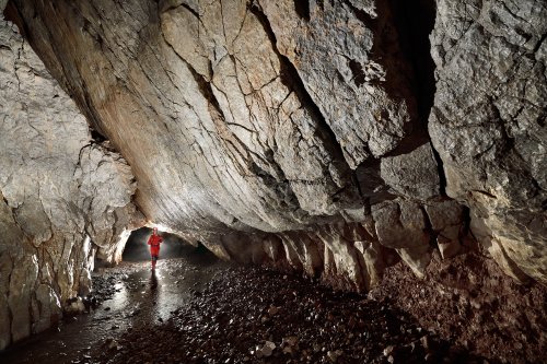 Kagekiyo-ana (Akiyoshidai, Yamaguchi, Japon) - Grande galerie développée sur un plan de faille(SP-19-0218)