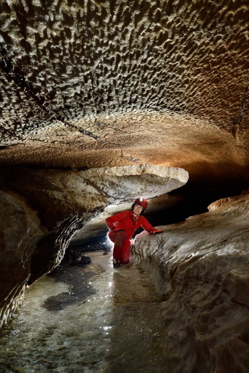 Seyryu-Kutsu (Blue Dragon Cave) (Hirao-dai, Fukuoka, Japon) - Petite rivière souterraine creusée dans les marbres blancs du plateau kartique d'Hirao-dai - Plafond avec cupules et petit banc détaché  (SP-19-0298)