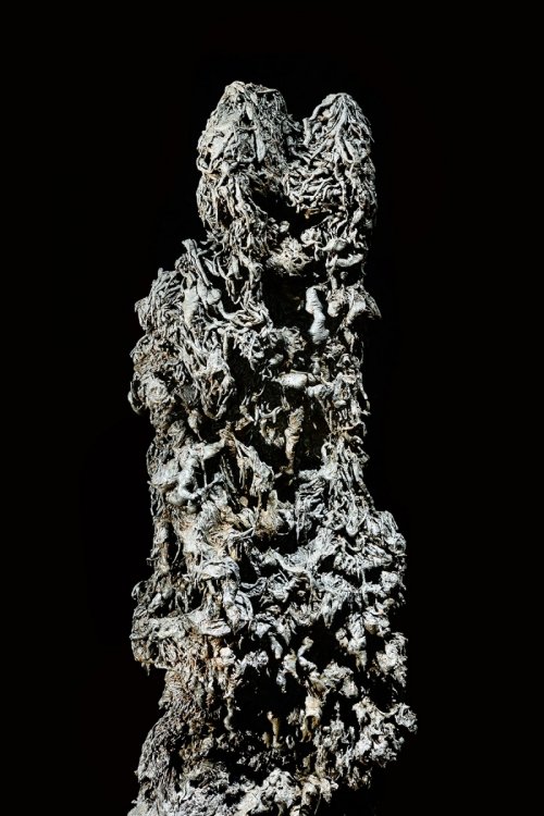 Mont Fuji lava tube (Mont Fuji, Japon) - Deux stalagmites de lave (formées par un empilement de petits boudins de lave tombés du plafond) (SP-19-0393)