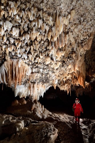 Grotte du Sud de l'Arizona (USA) - Spéléo dans grande galerie avec le plafond couvert de mini draperies blanches et orange(SP-20-0164)