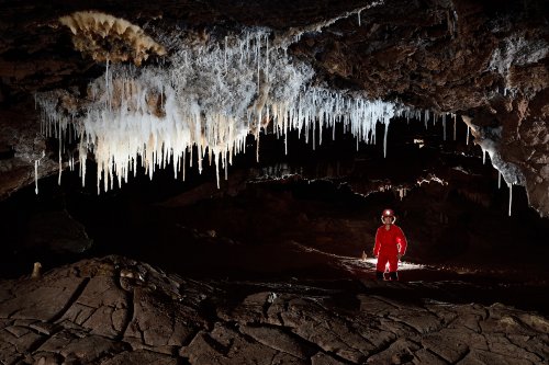 Grotte du Sud de l'Arizona (USA) - Salle au sol boueux avec fistuleuses blanches au plafond (spéléo en arrière plan)(SP-20-0169)