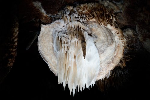 Grotte du Sud de l'Arizona (USA) - Grand disque blanc avec stalactites au bout ("grandes oreilles d'éléphant")(SP-20-0172)